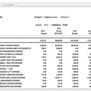 Municipal Accounting